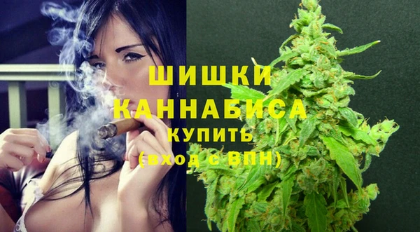 PSILOCYBIN Верея