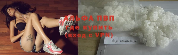 PSILOCYBIN Верея