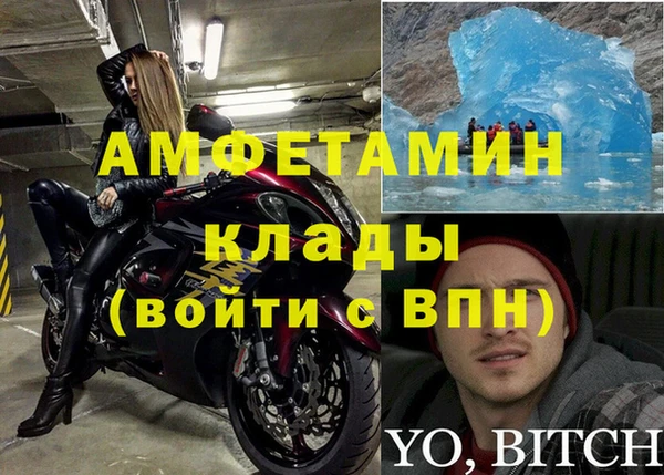 PSILOCYBIN Верея