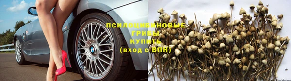 PSILOCYBIN Верея