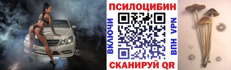 Галлюциногенные грибы мицелий  где купить   сайты даркнета как зайти  Можайск 