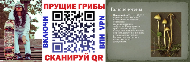 Галлюциногенные грибы ЛСД Можайск